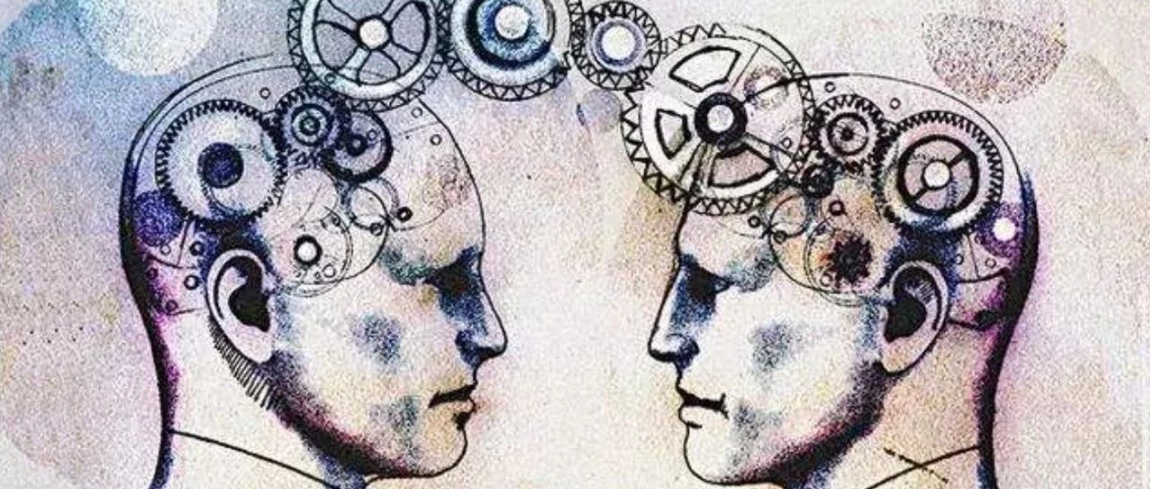 250606 那对塑料兄弟决裂了